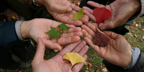 Journée Mondiale de la Philo : le puzzle humain