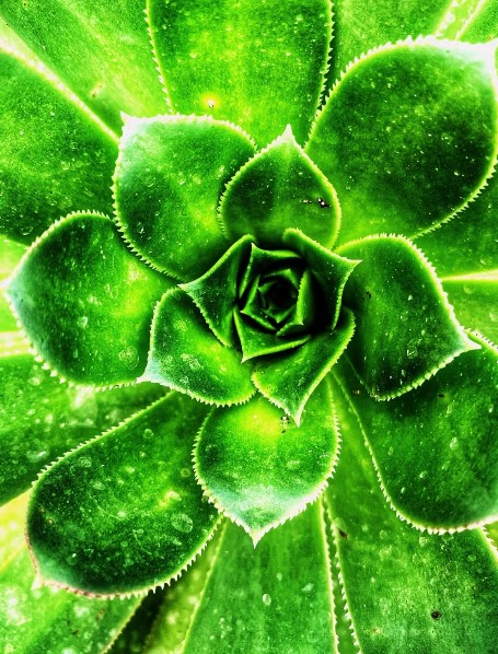 Capture Photo Herve OTT